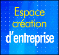Espace Creation d'Entreprise, Declaration en-ligne